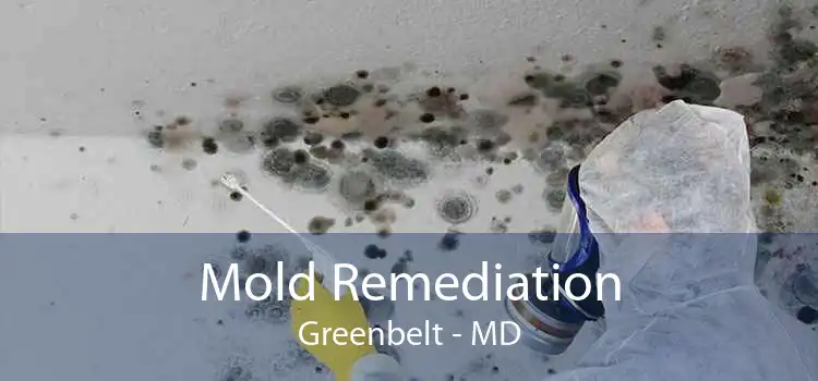 Mold Remediation Greenbelt - MD