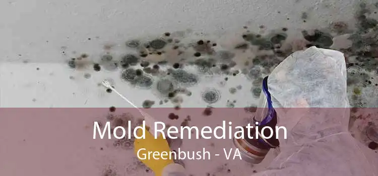 Mold Remediation Greenbush - VA