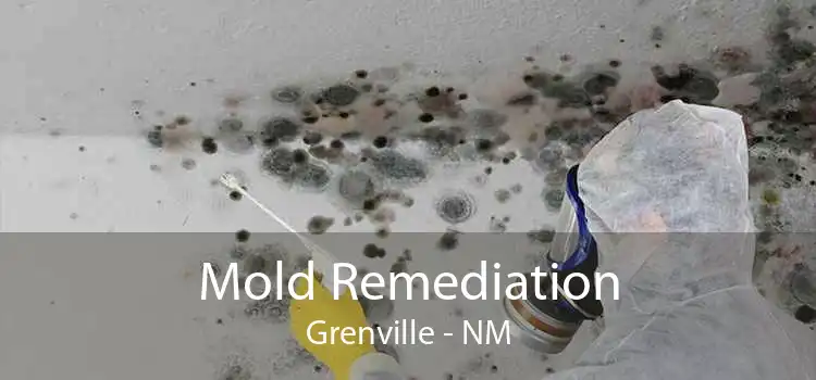 Mold Remediation Grenville - NM