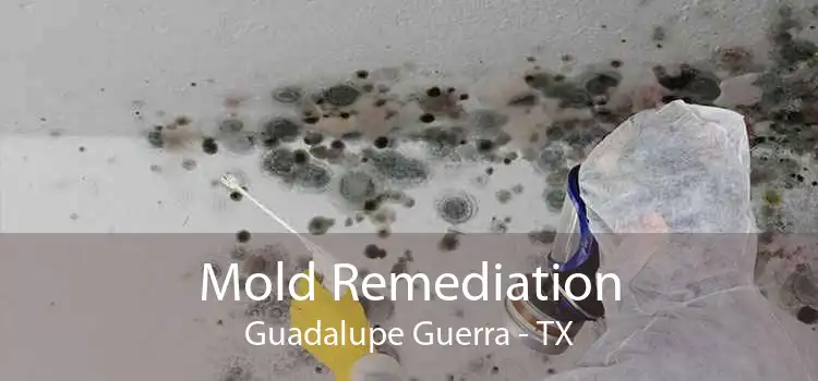 Mold Remediation Guadalupe Guerra - TX