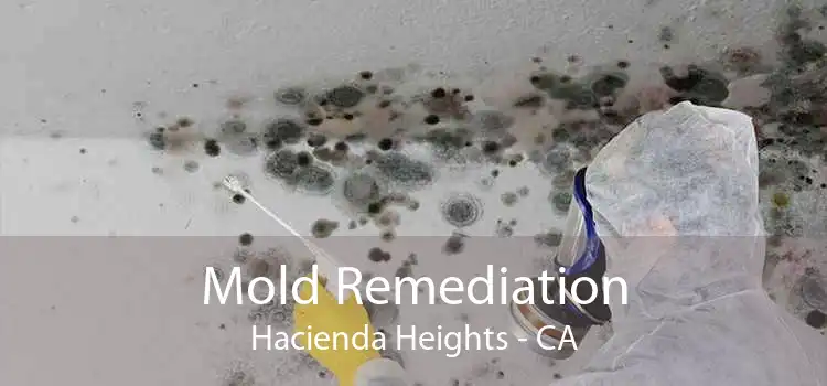 Mold Remediation Hacienda Heights - CA