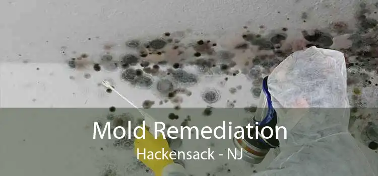 Mold Remediation Hackensack - NJ