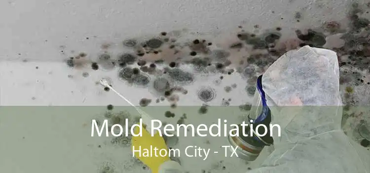 Mold Remediation Haltom City - TX