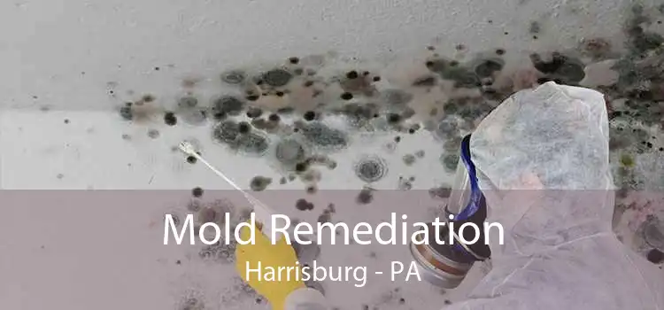 Mold Remediation Harrisburg - PA