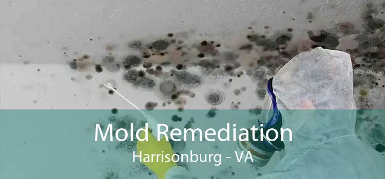 Mold Remediation Harrisonburg - VA