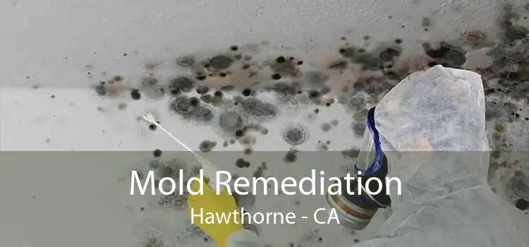 Mold Remediation Hawthorne - CA