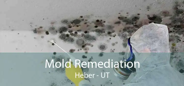 Mold Remediation Heber - UT