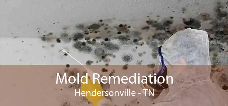 Mold Remediation Hendersonville - TN