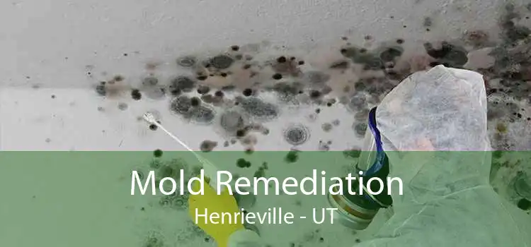Mold Remediation Henrieville - UT