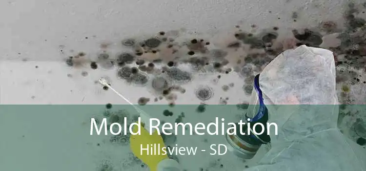 Mold Remediation Hillsview - SD
