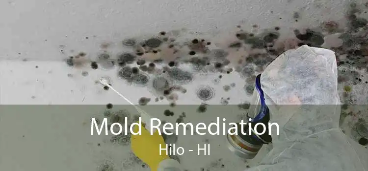Mold Remediation Hilo - HI