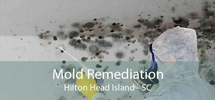 Mold Remediation Hilton Head Island - SC