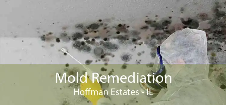 Mold Remediation Hoffman Estates - IL