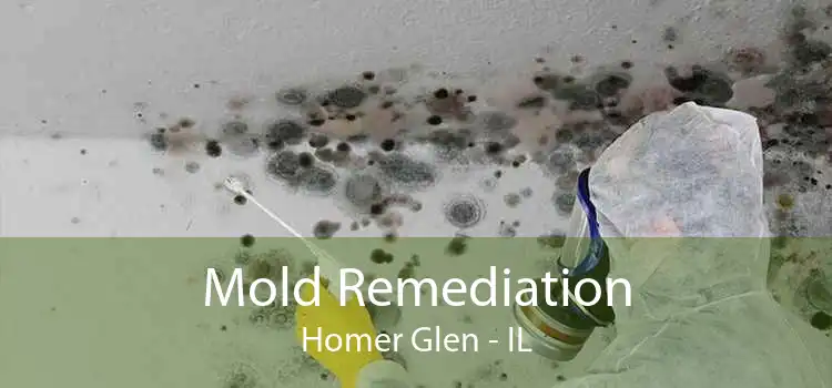 Mold Remediation Homer Glen - IL