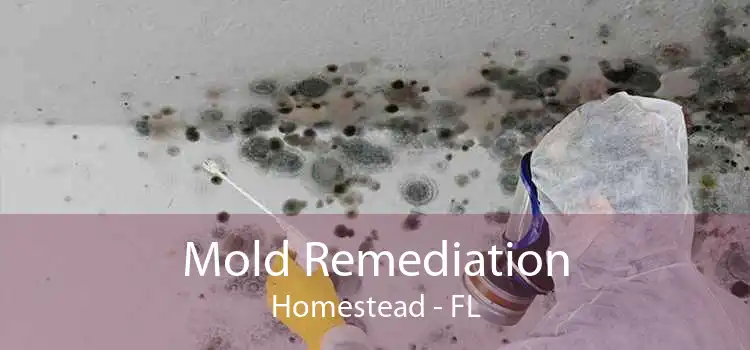 Mold Remediation Homestead - FL