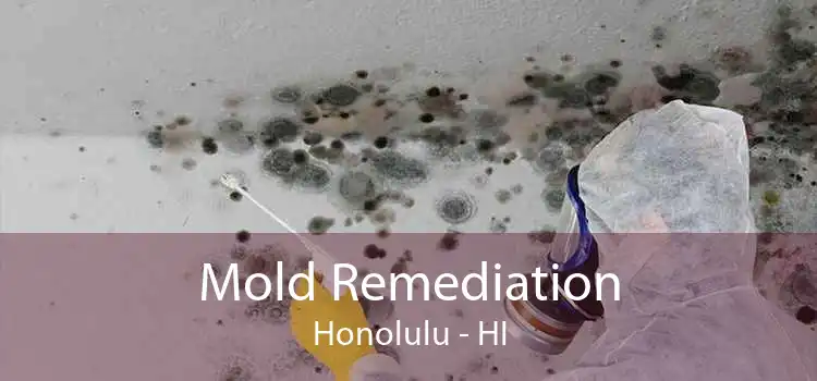 Mold Remediation Honolulu - HI