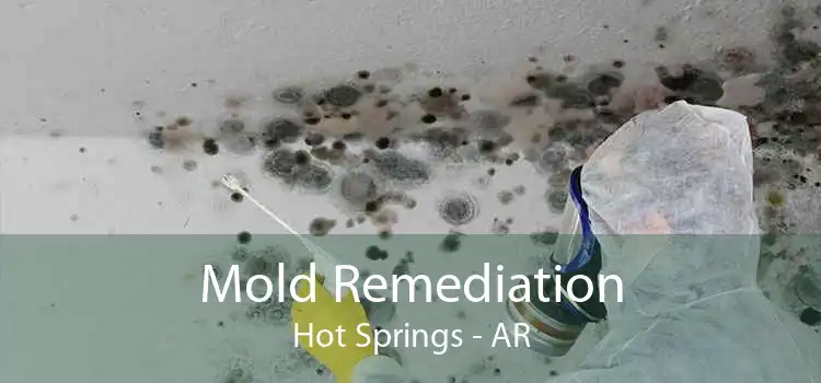 Mold Remediation Hot Springs - AR