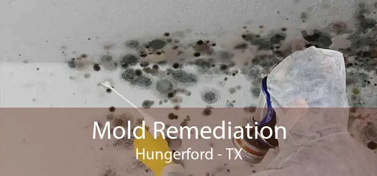 Mold Remediation Hungerford - TX