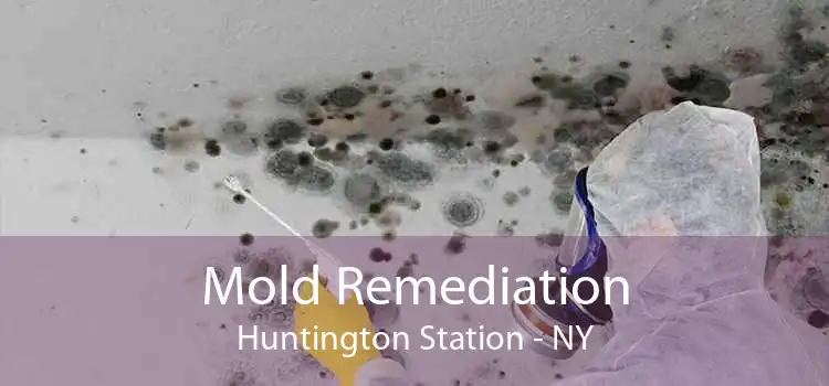 Mold Remediation Huntington Station - NY