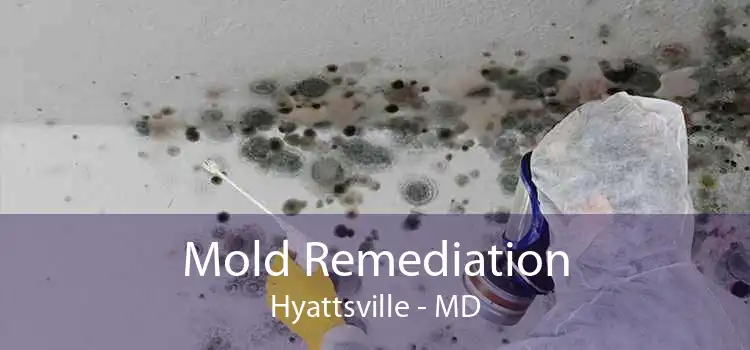 Mold Remediation Hyattsville - MD