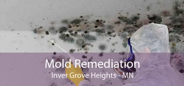 Mold Remediation Inver Grove Heights - MN