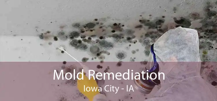 Mold Remediation Iowa City - IA