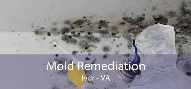 Mold Remediation Ivor - VA