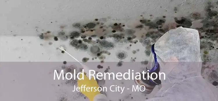 Mold Remediation Jefferson City - MO