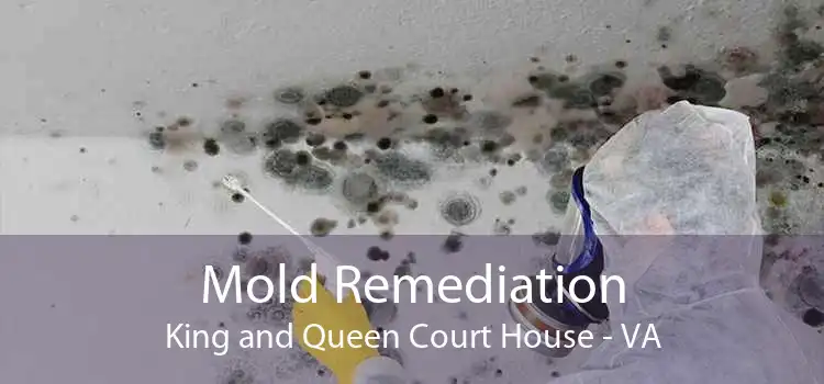 Mold Remediation King and Queen Court House - VA