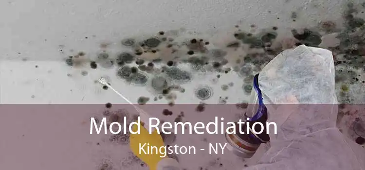 Mold Remediation Kingston - NY