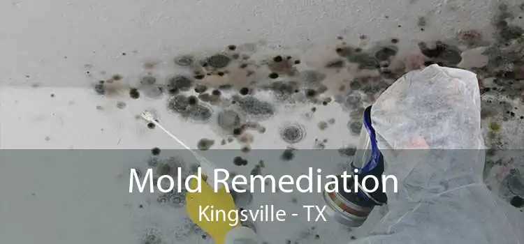 Mold Remediation Kingsville - TX