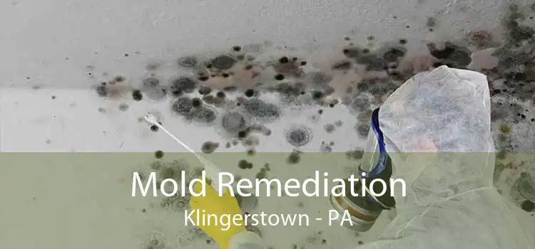 Mold Remediation Klingerstown - PA