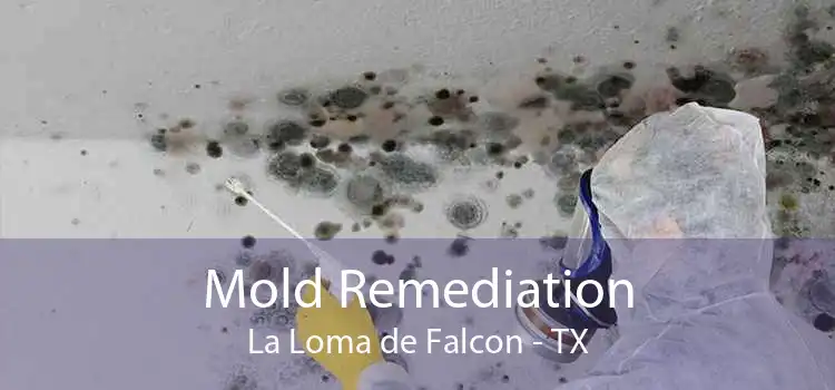 Mold Remediation La Loma de Falcon - TX
