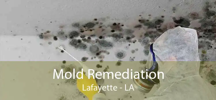 Mold Remediation Lafayette - LA