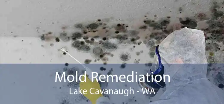 Mold Remediation Lake Cavanaugh - WA