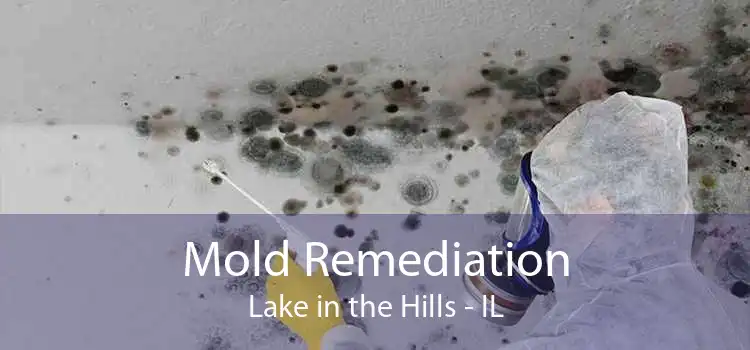 Mold Remediation Lake in the Hills - IL