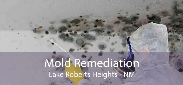 Mold Remediation Lake Roberts Heights - NM