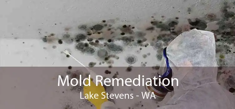 Mold Remediation Lake Stevens - WA