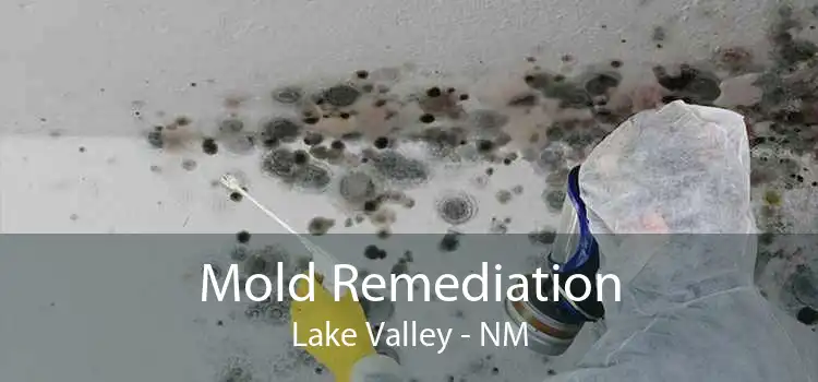 Mold Remediation Lake Valley - NM