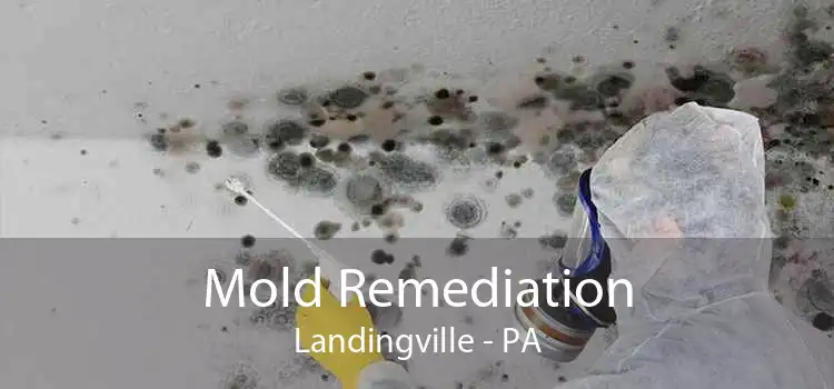 Mold Remediation Landingville - PA
