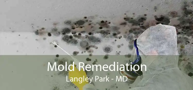 Mold Remediation Langley Park - MD