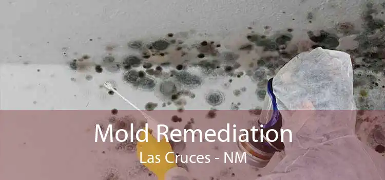 Mold Remediation Las Cruces - NM