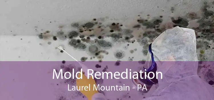 Mold Remediation Laurel Mountain - PA