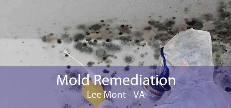 Mold Remediation Lee Mont - VA