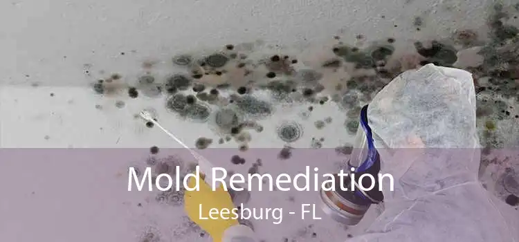 Mold Remediation Leesburg - FL