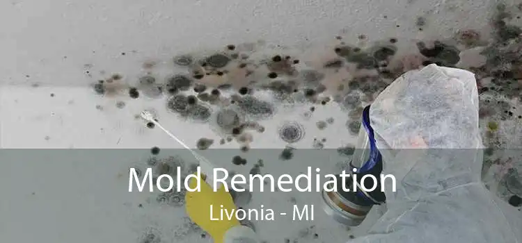 Mold Remediation Livonia - MI