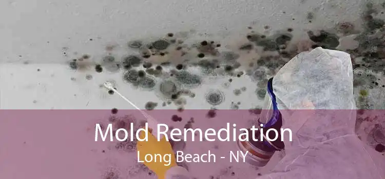 Mold Remediation Long Beach - NY