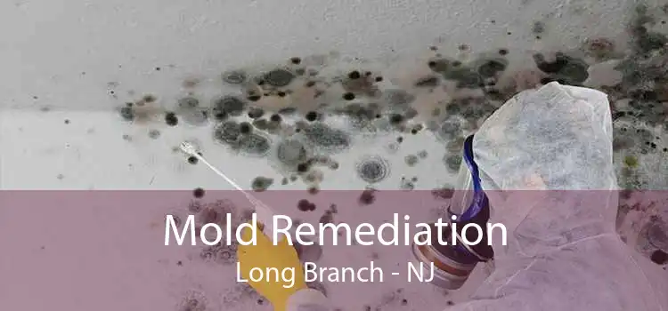 Mold Remediation Long Branch - NJ