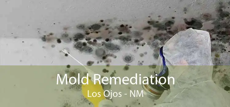 Mold Remediation Los Ojos - NM