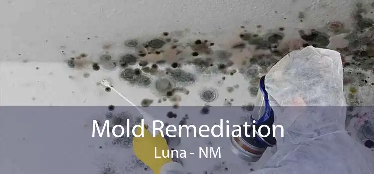 Mold Remediation Luna - NM